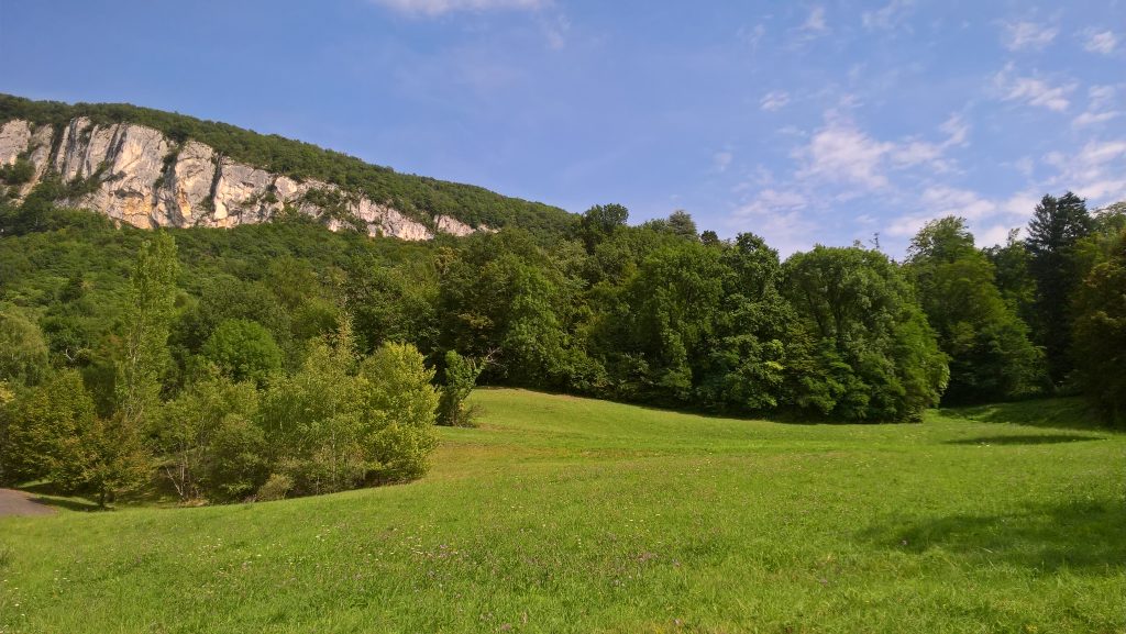 WP_20170815_16_18_17_Pro